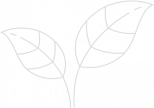 banner-leaf-4