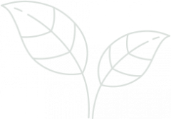 banner-leaf